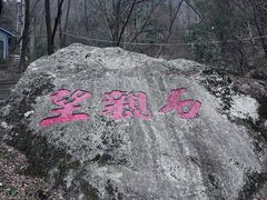 -王顺山国家森林公园