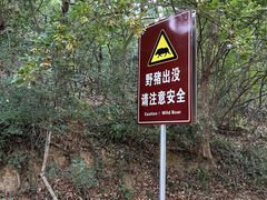 -紫金山山顶公园