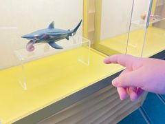 -上海中国航海博物馆