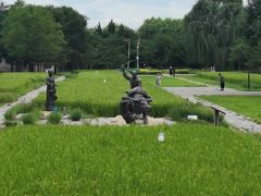 -北坞公园