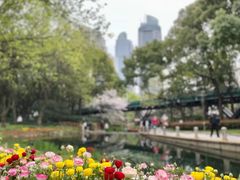 -徐家汇公园
