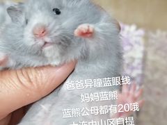 -叶氏兄弟果业(大连鲁迅店)