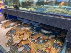 -小厨师·二十年沈家门小海鲜(百井坊巷店)
