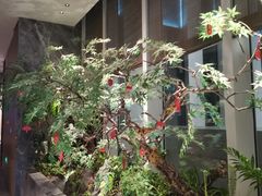 -海立阁海鲜江浙菜(漕河泾印象城店)