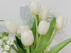-知物癖(牛王庙店)