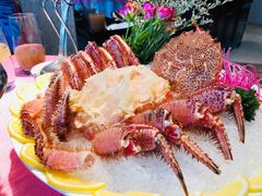 红毛蟹-行家海鲜火锅酒家(静安寺店)
