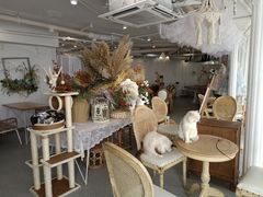 大堂-共舞时光猫咖·狗咖(新街口店)