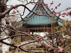 -无锡梅园公园