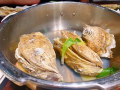 -马迭尔德式西餐精酿啤酒屋(中央大街店)