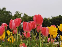 -厦门园林博览苑