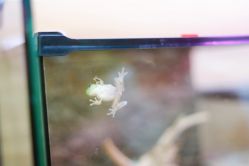 -Moni星球萌宠·小马宝莉·灵蛇·高端高阶全萌宠互动体验俱乐部(红豆国际广场店)