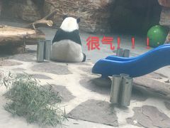 -石家庄市动物园