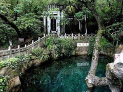 -蝴蝶泉公园