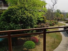 -成都安仁福朋喜来登酒店