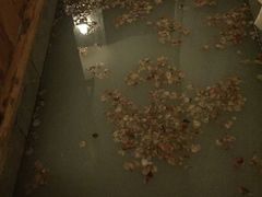 -河北霸州茗汤日月潭温泉