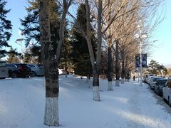 -中旅松花湖滑雪场