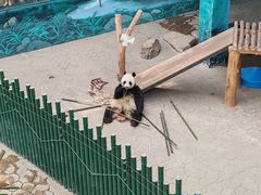 -沈阳森林动物园