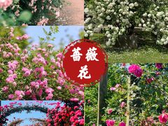 -玄武湖景区
