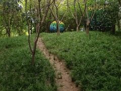 -西安曲江寒窑遗址公园
