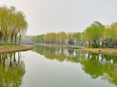 -中关村生命科学园