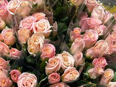 -循礼门鲜花花市(武汉循礼门店)