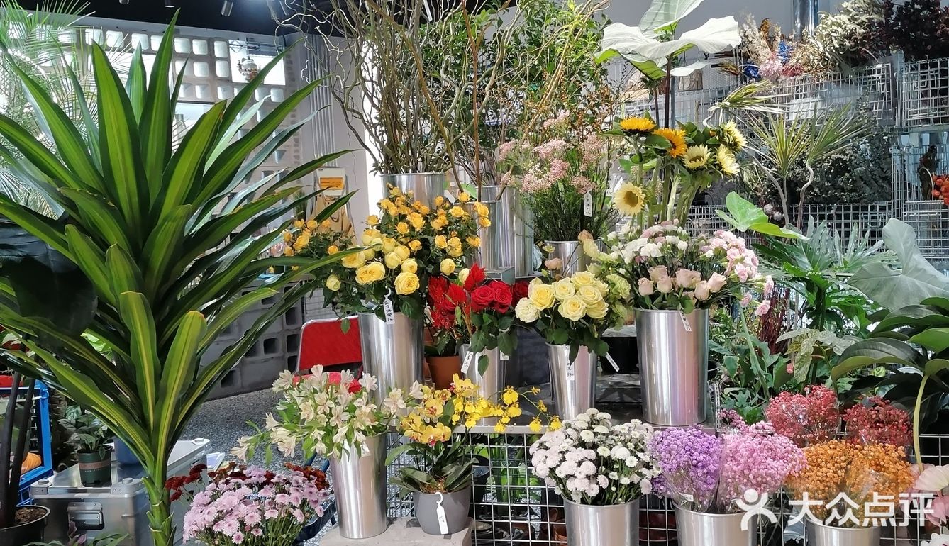          🌸鲜花店里喝咖啡☕️