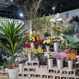          🌸鲜花店里喝咖啡☕️