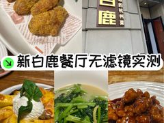 -新白鹿餐厅(龙游路总店·杭帮菜名店)