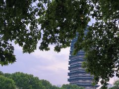 -红梅公园