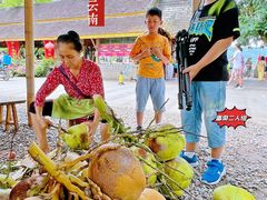 -西双版纳傣族园