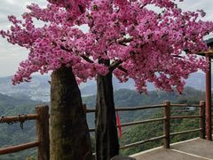 -东莞观音山旅游风景区