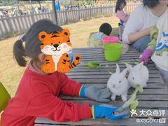 -季高兔窝窝亲子园(上海薰衣草公园店)