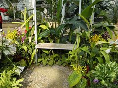 -石家庄市植物园