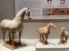 -深圳博物馆(古代艺术馆)