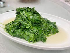 -苏启渔港(云南北路店)