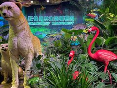 -正佳雨林生态植物园