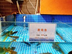 -肖记公安牛肉鱼杂馆·省级非物质文化遗产(万松园直营店)