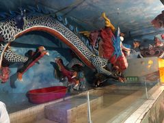 -东方巨龟苑景区