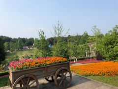 -铁山坪森林公园