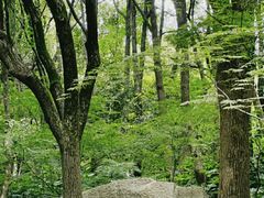 -杭州半山国家森林公园