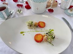 -蝶舍·MAISON PAPILLON