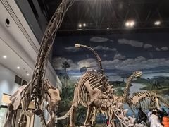 -自贡恐龙博物馆