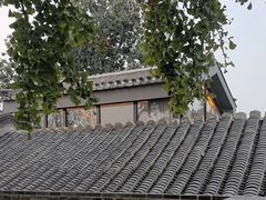 -自如ZSPACE四合院艺术餐厅