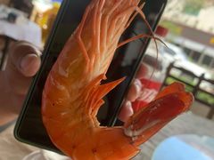 -都斛海鲜街