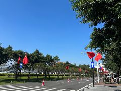 -野狸岛