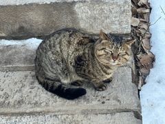 -终南山南五台景区