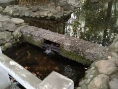 -成都市活水公园