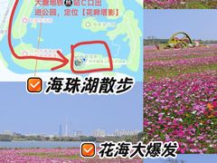 -海珠湖公园