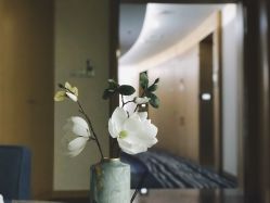 -和伊母婴护理中心·全套房(金山店)