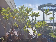 -汕头中海黄金海岸水上乐园